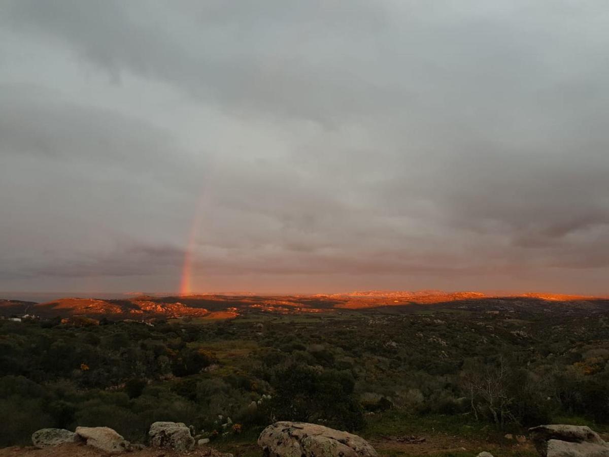 B&B Bell'Alba Santa Teresa Gallura Extérieur photo